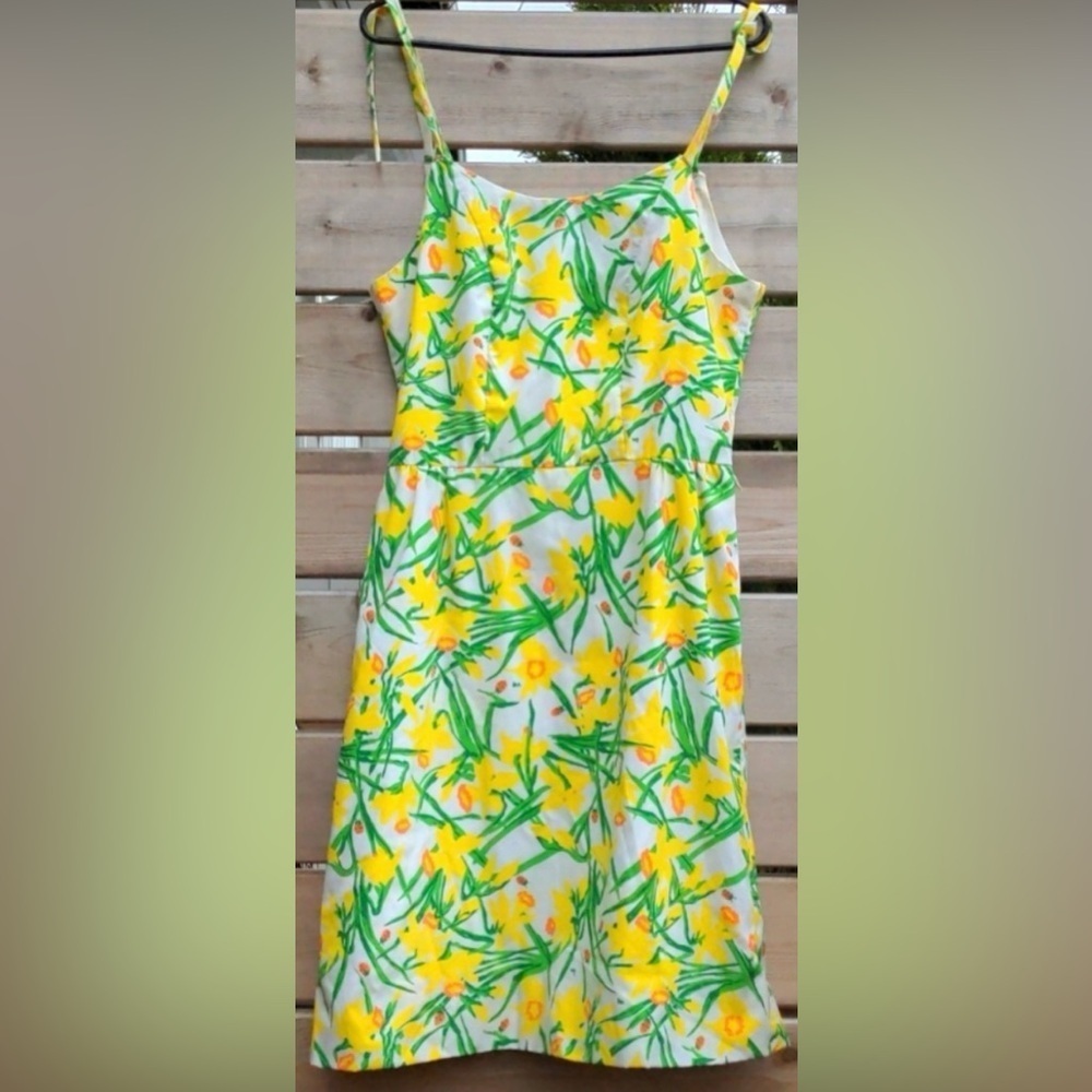 Vintage 60’s The Vested Gentress Sundress Garden Party Sz 12